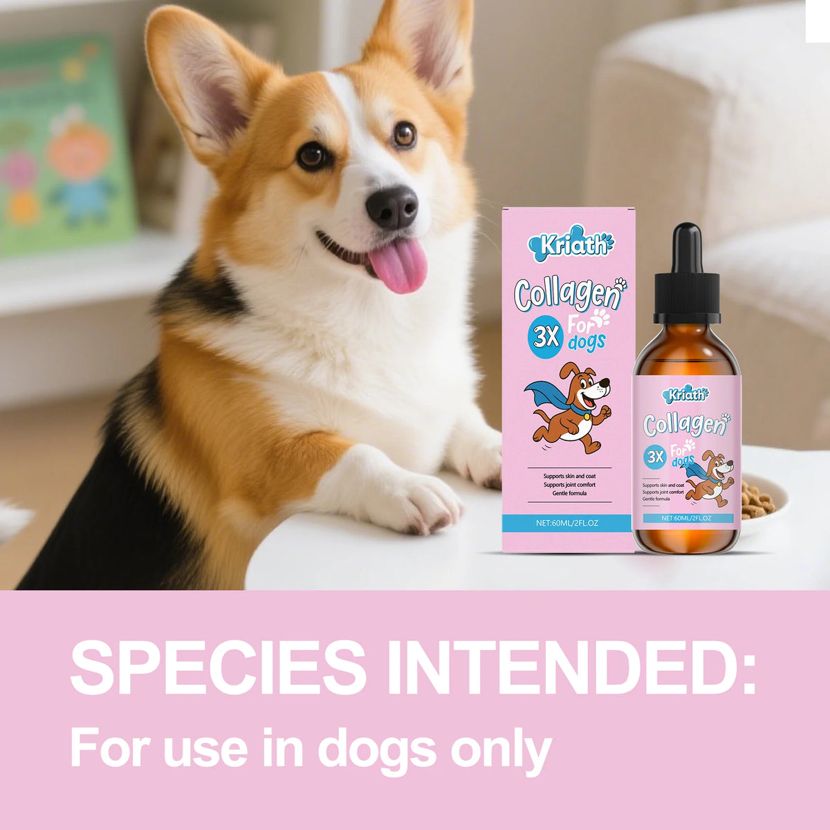 Dog Liquid Collagen Drops Intestine Repair Improve Digestive System Health Nourish Skin Coat Dogs Dietary Nutrition Care Agent