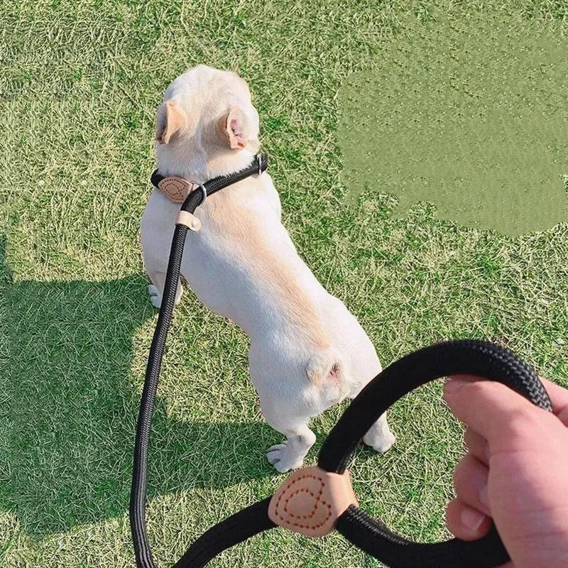 Dog Leash Slip Rope Lead Leash Heavy Duty Braided Rope Adjustable Loop Collar Training Leashes for Medium Large Dogs