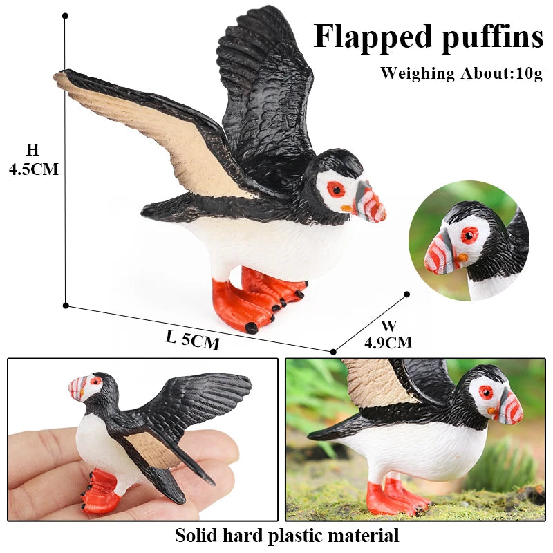 Realistic Bird Animal Figurine Collection