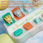 Montessori Pop Up Animal Learning Box