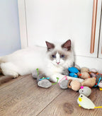 Catnip Rattle Faux Fur Cat Mouse Toys for Indoor Interactive Play
