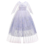 Girls Elsa Frozen Snow Queen Mesh Princess Dress Costume