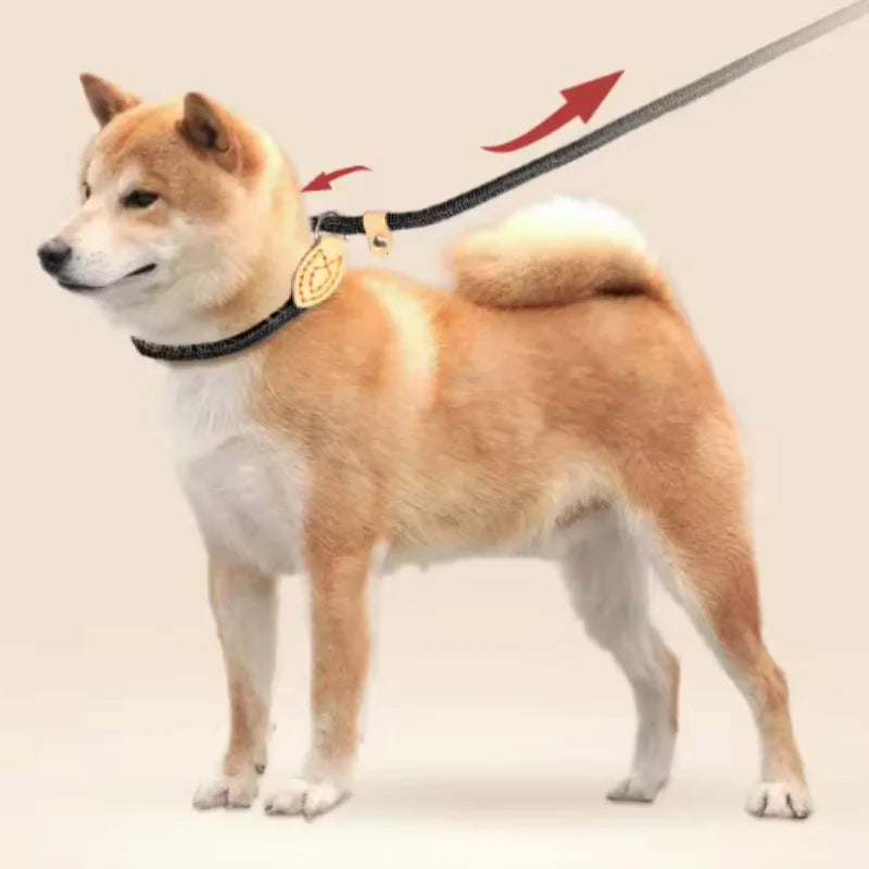 Dog Leash Slip Rope Lead Leash Heavy Duty Braided Rope Adjustable Loop Collar Training Leashes for Medium Large Dogs