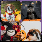 Small Dogs Harness Halloween Pet Bat Wings Dog Bat Costume Wings Halloween Accessory for Puppy Dog Cat Halloween Party Decor
