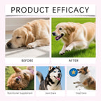 Dog Liquid Collagen Drops Intestine Repair Improve Digestive System Health Nourish Skin Coat Dogs Dietary Nutrition Care Agent