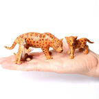 Mini Farm & Wildlife Animal Figurine Set