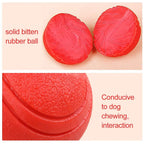 HOOPET Bite Resistant Rubber Dog Ball for Interactive Fetch Play