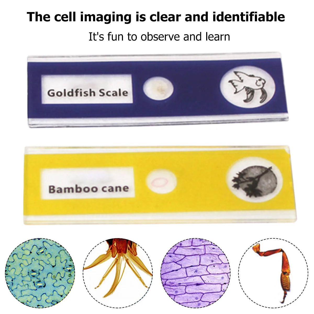 Pocket Microscope Science Toy Kit for Kids with LED Light STEM