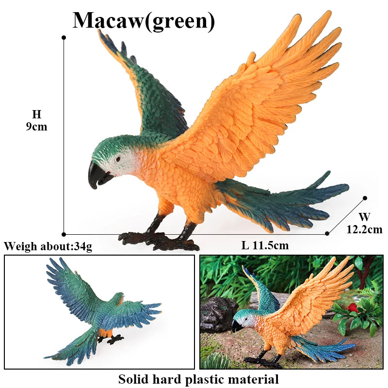 Realistic Bird Animal Figurine Collection