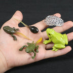 Montessori Animal and Plant Life Cycle Biology Model Toy Set