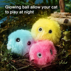 Interactive Electric Cat Ball Toy for Indoor Cats and Kittens