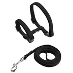 Adjustable Pet Cat Collar For Cats Cozy Nylon Rabbit Kitten Kedi Harness Leash Set Dog Cat Accessories Products For Pets