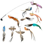 Peacock Bird Cat Teaser Wand for Interactive Hunting and Play