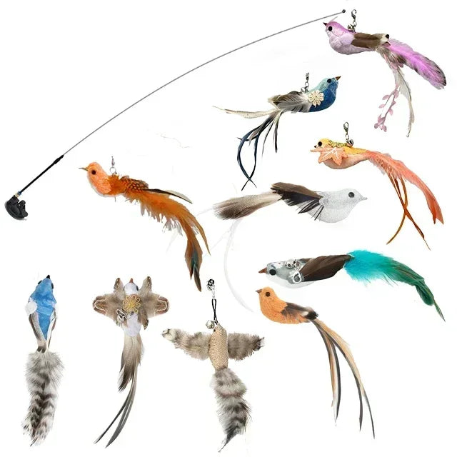 Peacock Bird Cat Teaser Wand for Interactive Hunting and Play
