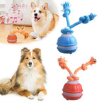 Interactive Motion Activated Dog Ball with Rope for Active Play