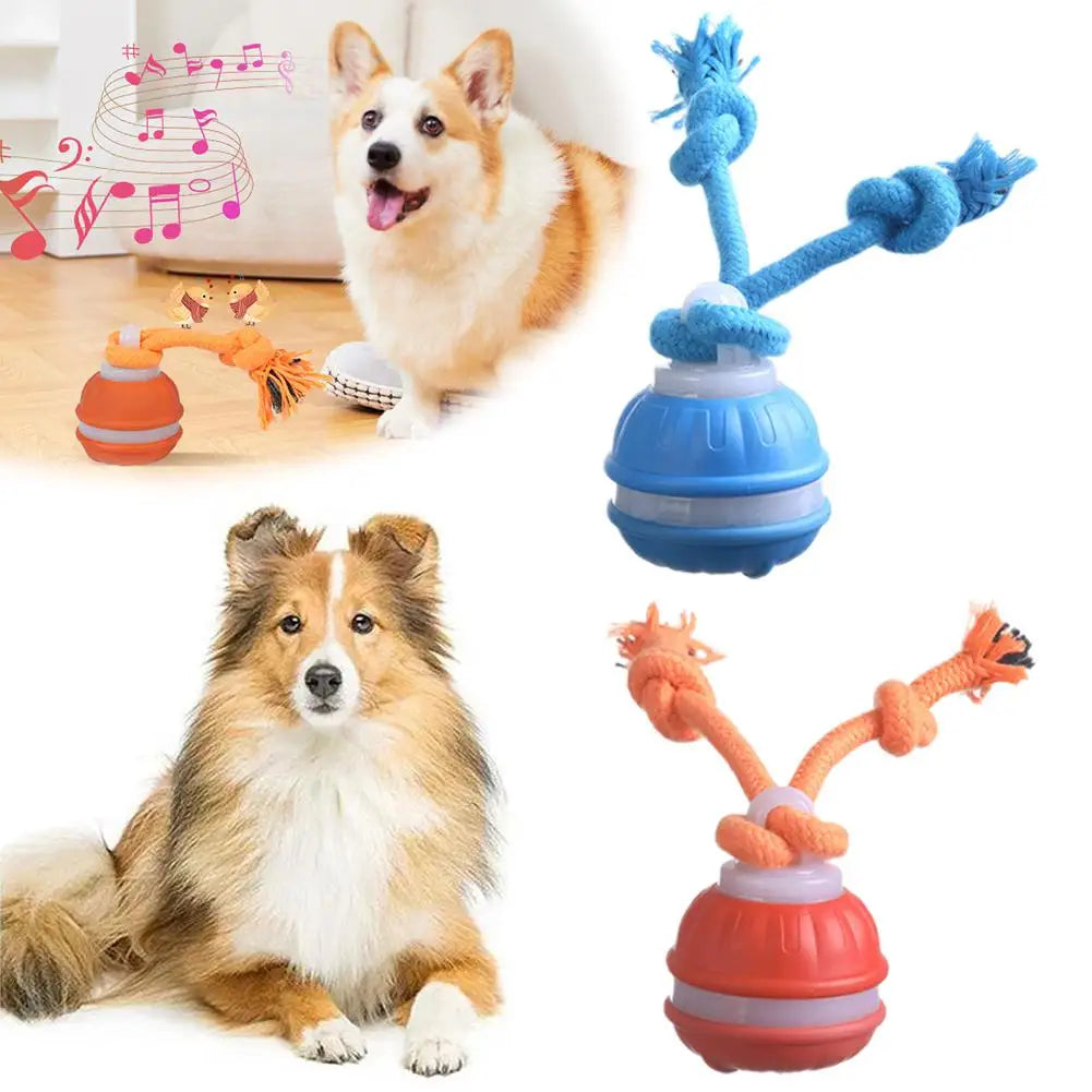 Interactive Motion Activated Dog Ball with Rope for Active Play