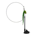 Peacock Bird Cat Teaser Wand for Interactive Hunting and Play