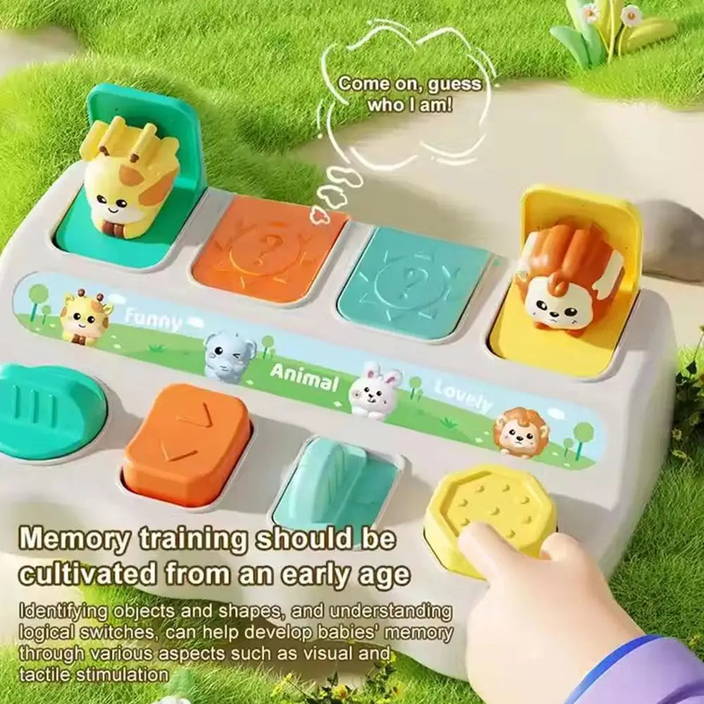 Montessori Pop Up Animal Learning Box