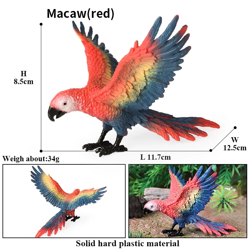 Realistic Bird Animal Figurine Collection