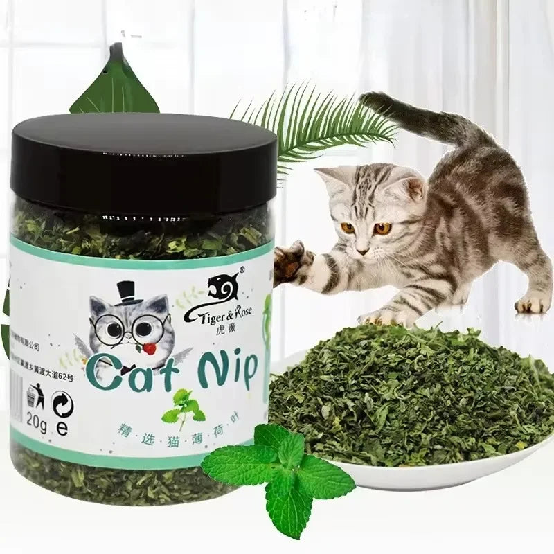 Organic Natural Catnip Mint Toy for Interactive Indoor Cat Play