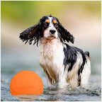 Silicone Flying Disc Dog Toy for Interactive Fetch and Training