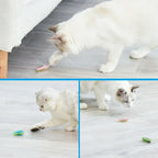 Electric Bug Cat Toy Automatic Interactive Catnip Chasing Toy