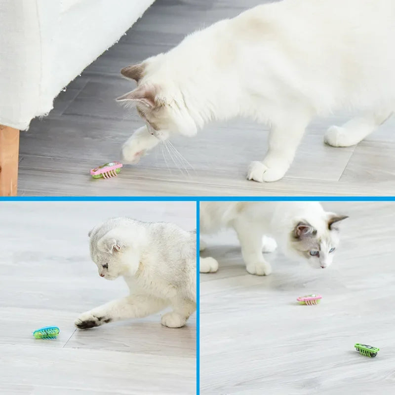 Electric Bug Cat Toy Automatic Interactive Catnip Chasing Toy