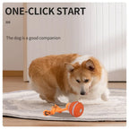 Automatic Interactive Rolling Ball Dog Toy for Smart Active Play