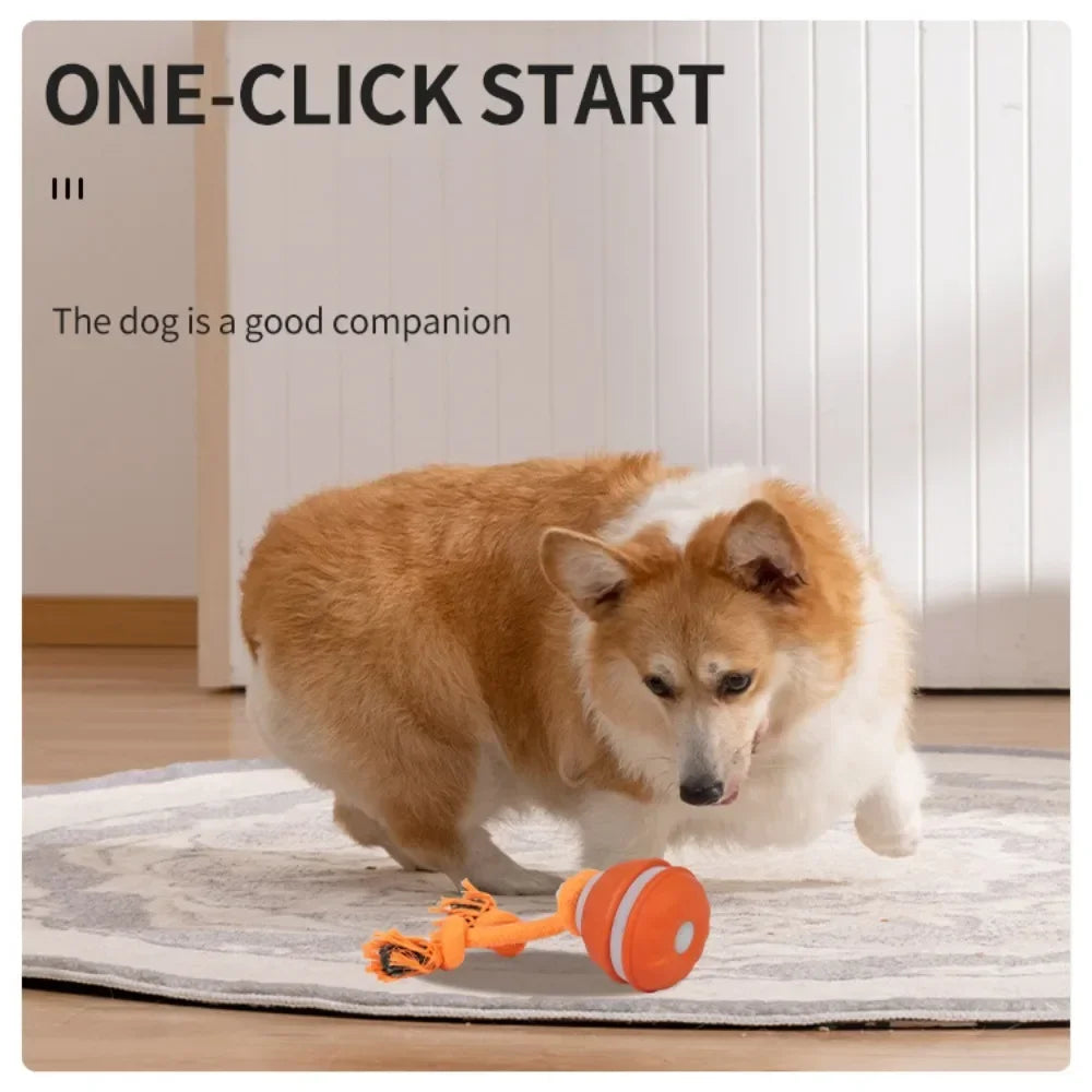 Automatic Interactive Rolling Ball Dog Toy for Smart Active Play