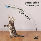 Peacock Bird Cat Teaser Wand for Interactive Hunting and Play