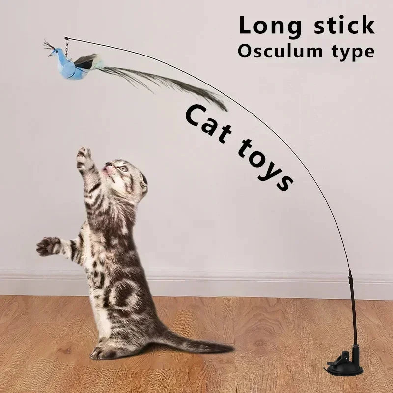 Peacock Bird Cat Teaser Wand for Interactive Hunting and Play