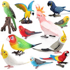 Realistic Bird Animal Figurine Collection