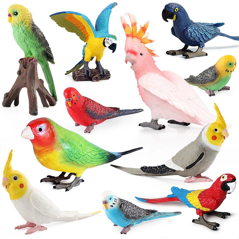 Realistic Bird Animal Figurine Collection