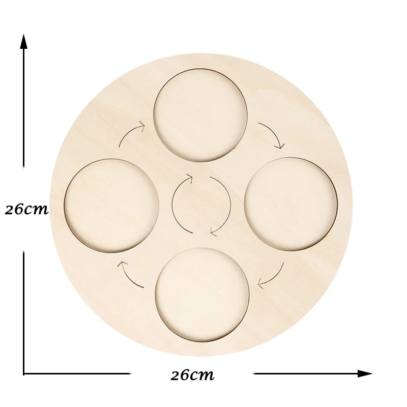 Montessori Animal and Plant Life Cycle Biology Model Toy Set
