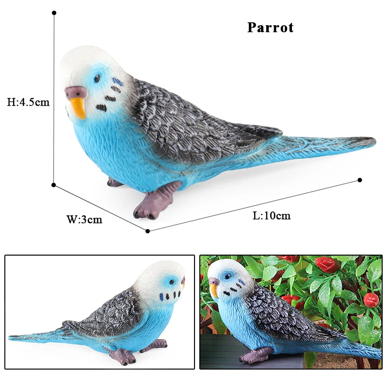 Realistic Bird Animal Figurine Collection