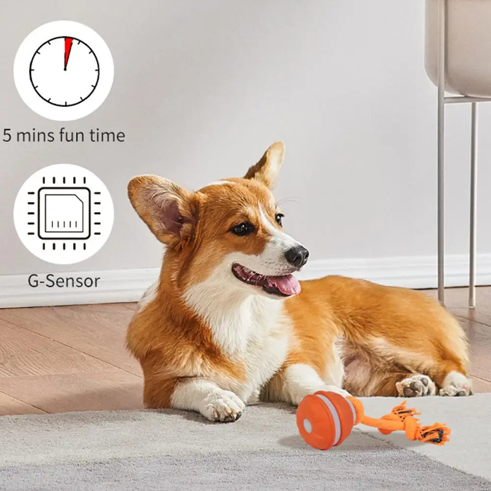 Interactive Motion Activated Dog Ball with Rope for Active Play