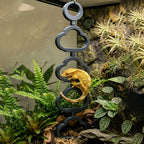 Reptile Climbing Ladder Terrarium Decor Anti-slip Gecko Climbing Frame Hide Rest Platform For Crested Gecko  Reptile Tank