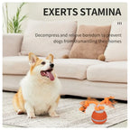 Automatic Interactive Rolling Ball Dog Toy for Smart Active Play