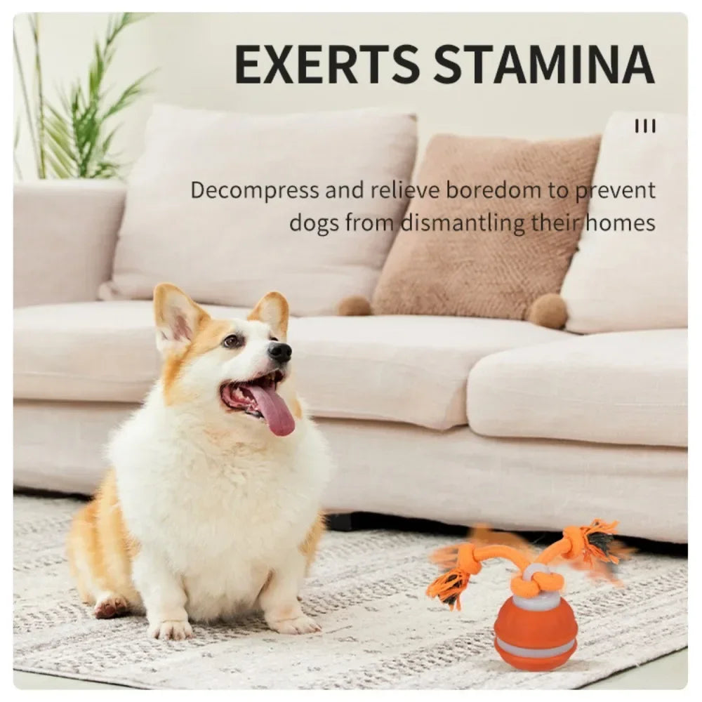 Automatic Interactive Rolling Ball Dog Toy for Smart Active Play
