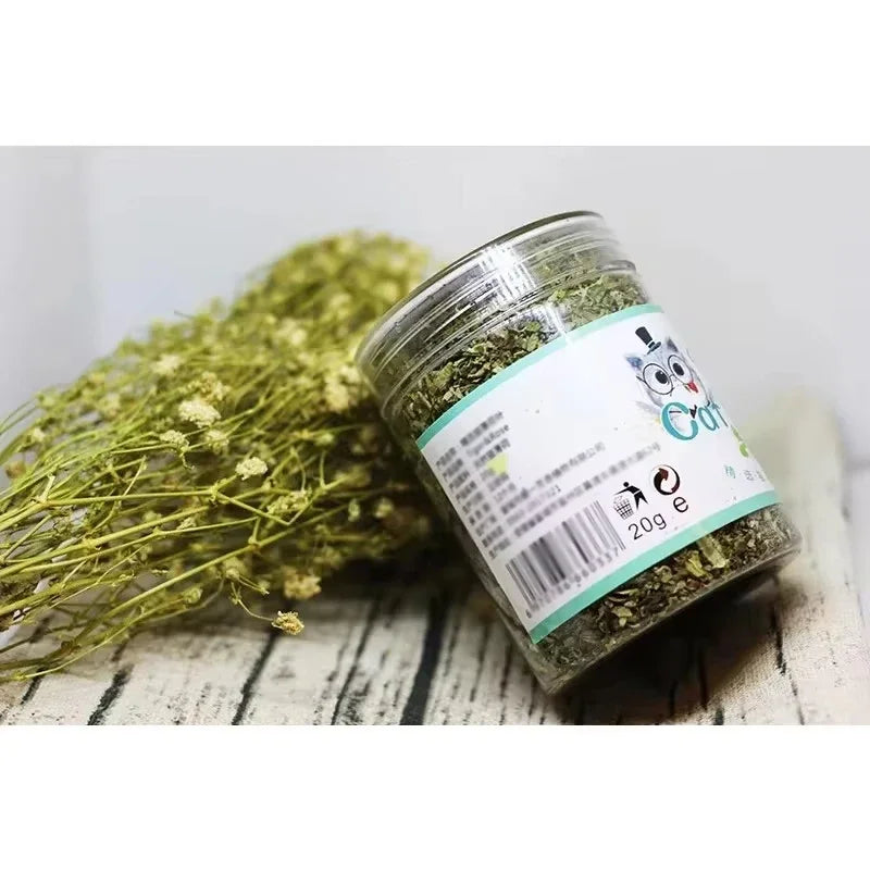 Organic Natural Catnip Mint Toy for Interactive Indoor Cat Play