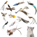 Interactive Bird Feather Cat Wand Toy for Indoor Hunting Play