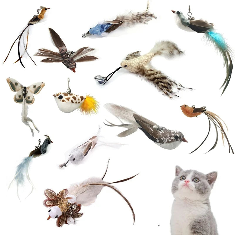 Interactive Bird Feather Cat Wand Toy for Indoor Hunting Play