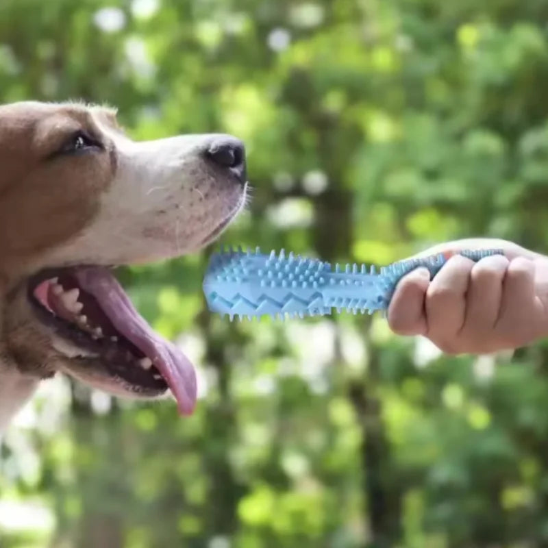 Dog Teething Chew Stick Toy for Interactive Dental Training Play