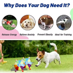 Hot Dog Plush Squeaky Dog Toy for Interactive Chewing and Play