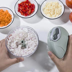 Manual Garlic Chopper – Meat Mincer & Vegetable Cutter Tool