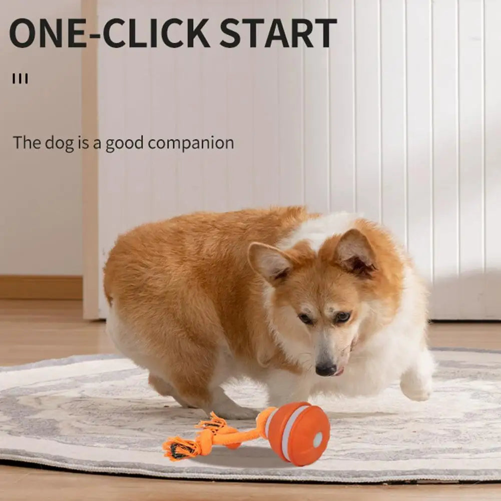 Interactive Motion Activated Dog Ball with Rope for Active Play