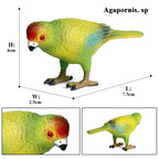 Realistic Bird Animal Figurine Collection