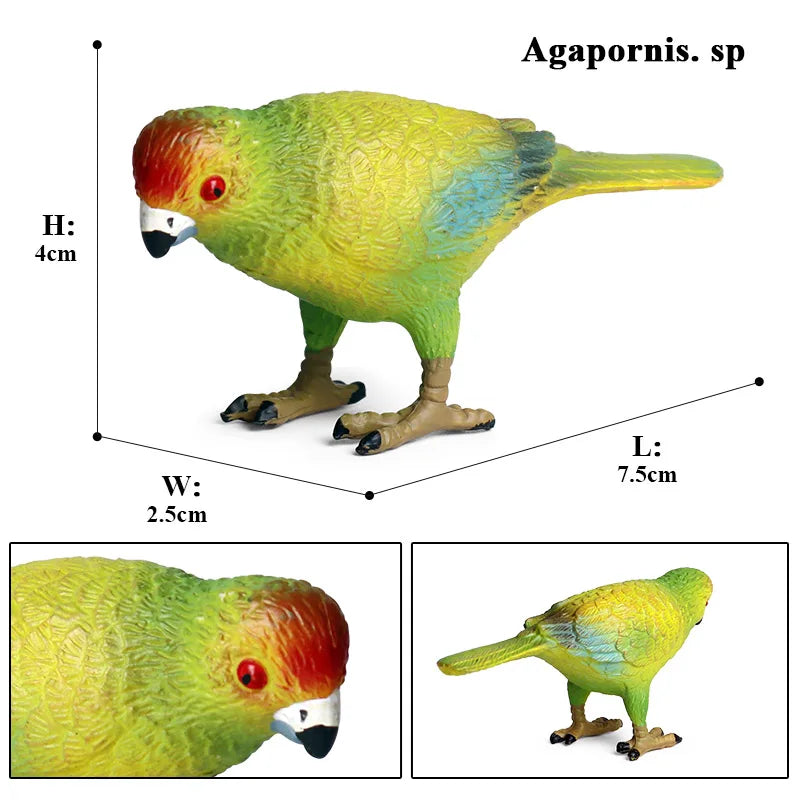 Realistic Bird Animal Figurine Collection