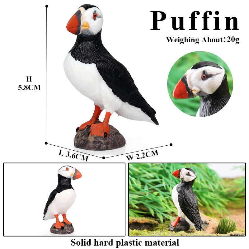 Realistic Bird Animal Figurine Collection