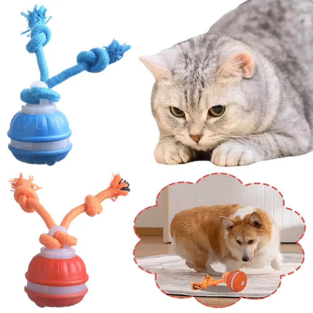 Interactive Motion Activated Dog Ball with Rope for Active Play